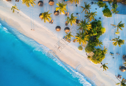 非洲桑给巴尔夏季热带风景包括棕榈树阳伞步行者蓝水海浪背景图片