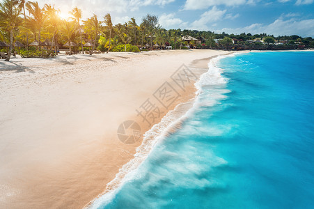 白沙滩海浪雨伞日落绿棕榈非洲桑给巴尔暑假棕榈树沙滩蓝水人天空等热带风景背景图片