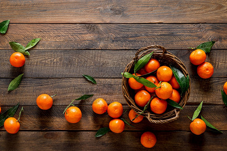 坦格林新鲜的曼达橙子木本底有叶的克莱门廷背景