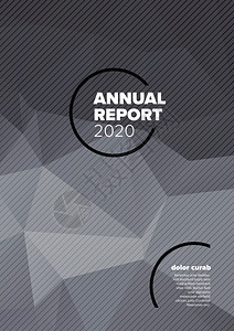 矢量摘要年度报告包含模板样本文和抽象背景深灰色低波图形图片