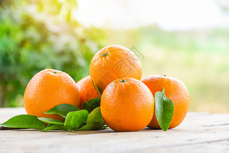 含木叶和自然背景的橙子果含健康的新鲜橙和叶背景图片