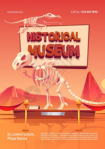 展览海报历史博物馆恐龙化石插画插画