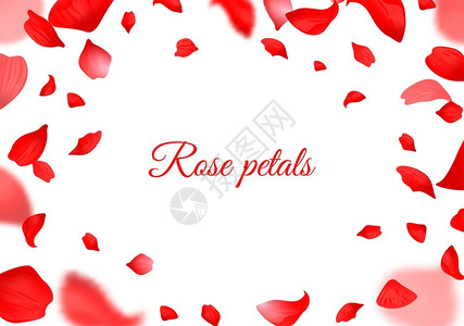 红玫瑰花瓣落下的红玫瑰花瓣现实的飞行花瓣浪漫的情人节和婚礼装饰的植物框架模糊的花卉装饰元素样式平滑的矢量边界横向海报或传单落下的背景图片