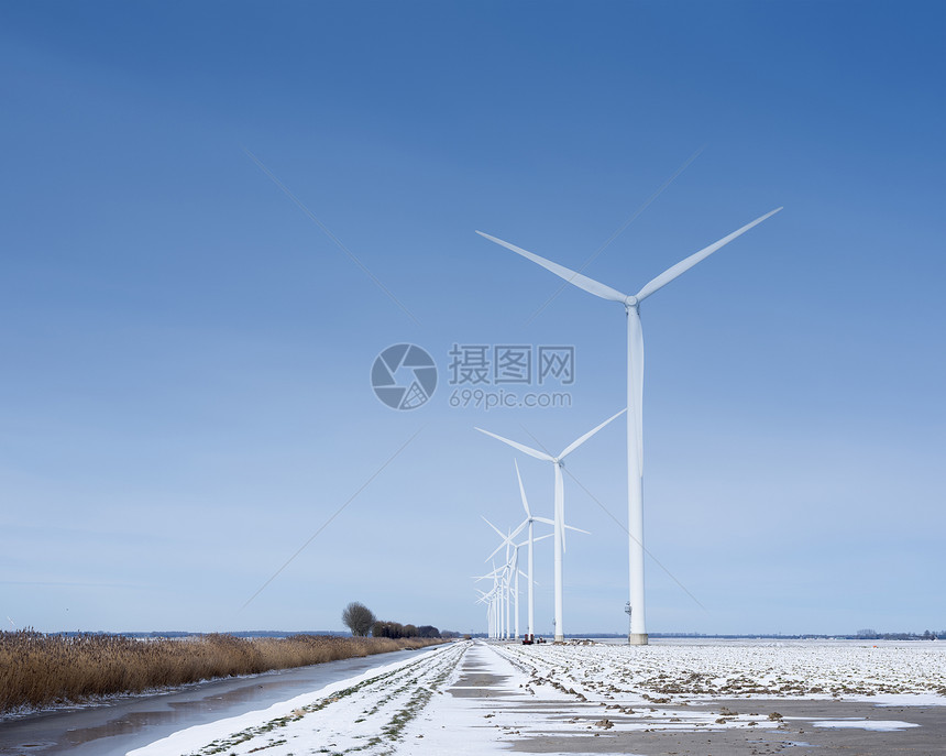 冬季在蓝天下flevoland的dutch产卵地下风力涡轮机覆盖着雪地和风力涡轮机图片