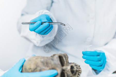 生物考古学家在DNA考古实验室中分析人头骨的DNA考古实验室学家分析实验室中的古人类地质材料背景图片