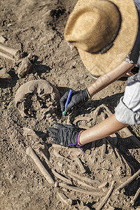 考古挖掘女学家拥有研究古代人类骨骼的工具图片