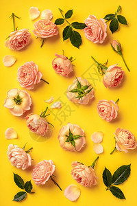 粉红玫瑰和黄色树叶的花粉图片
