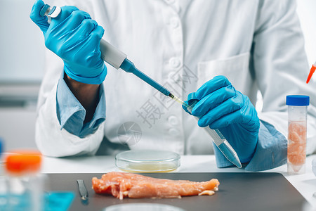 食品安全和质量评估微生物学家对禽样本进行检测以发现沙门氏菌和大肠鲑鱼食品安全和质量评估微生物学家对沙门氏菌和EColi的家禽样本背景图片