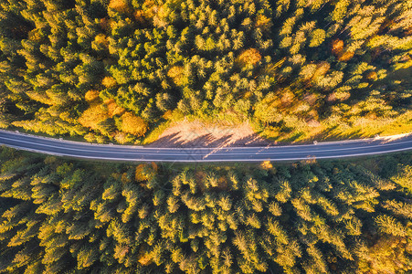 无人驾驶飞机在高空拍摄的森林道路景象图片