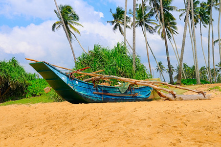 在斯里兰卡有棕榈和渔船的贱热带海滩图片