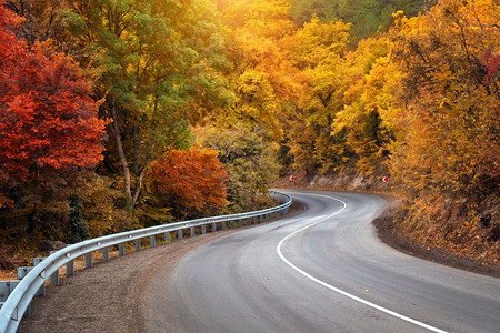 秋天路条和阳光明媚的线美丽自然图片
