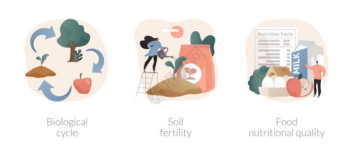 生物循环土壤肥力粮食营养质量农业循环现有营养物价值抽象比喻收获和土壤生产力抽象概念矢量说明背景图片