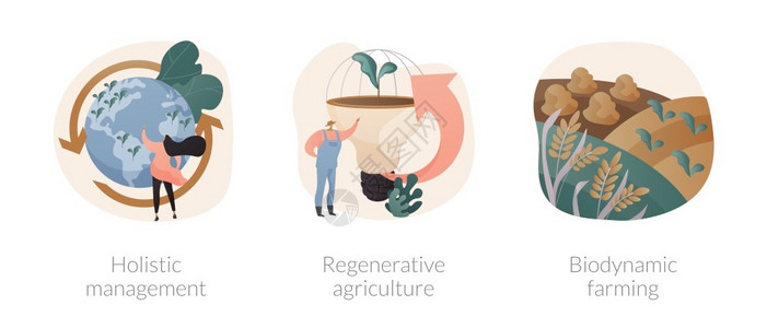 养护和恢复耕作系统抽象概念矢量说明集全方位管理再生农业物动力耕作态物多样抽象比喻养护和恢复耕作系统抽象概念矢量说明集图片