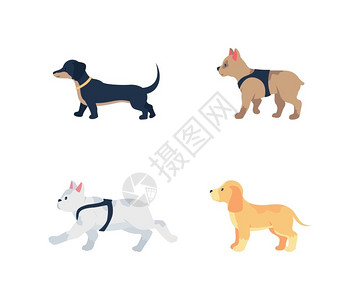 不同品种的小狗卡通矢量插画图片