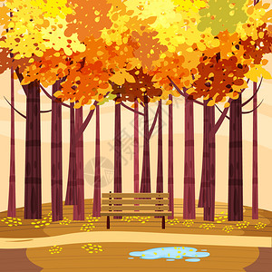秋季公园景观黄色橙红树叶步行长椅黄色橙红树图片