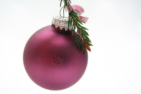 紫色圣诞节装饰品松树枝上的紫色圣诞节装饰品图片