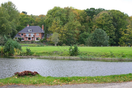 秋天公园的池塘落颜色图片