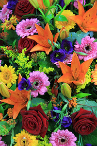 多种不同颜色的混合花卉安排图片
