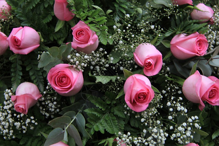 花朵安排中的粉红玫瑰和吉普西拉图片