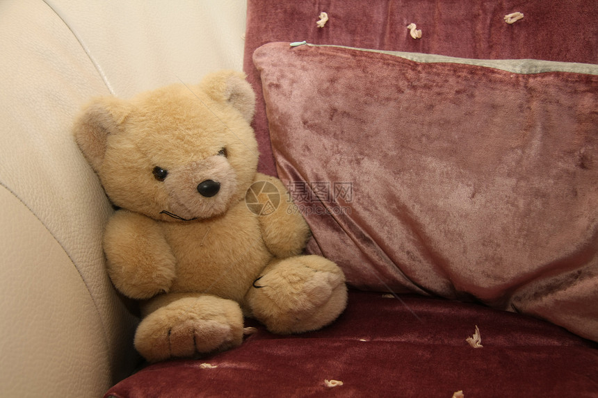 奶油白色沙发上的浅褐泰迪熊图片