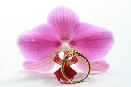 与粉红兰花的钻石独立订婚戒指图片