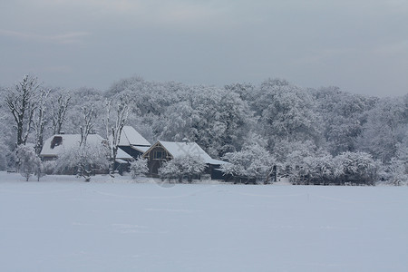 森林中的农场覆盖着雪和冷冻树木的草地图片