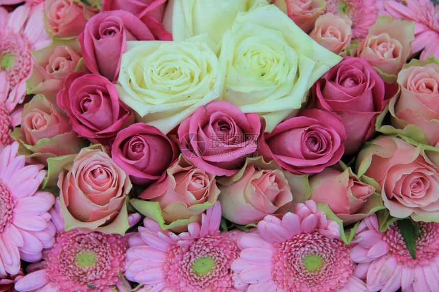 鲜花白和粉红安排玫瑰和杂花图片