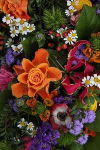 各种亮色的混合春季花束背景图片