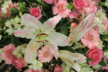 白百丽粉红的黄花和玫瑰在新娘花朵安排中图片