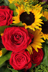 大红玫瑰和向日葵花式安排图片