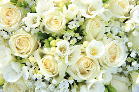白色花安排结婚中心图片