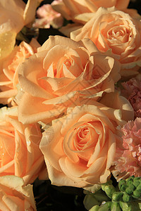 与软橙色玫瑰和康乃馨的花香安排高清图片