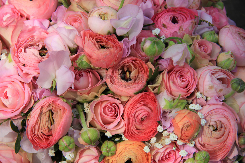 粉红玫瑰和彩虹花束中的图片