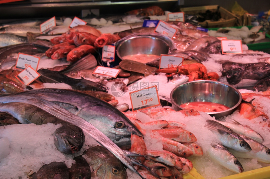 在一家鱼店的压碎冰面上新鲜海鱼标签价格和产品信息荷兰文图片