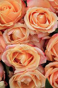 大粉红玫瑰花般的婚礼装饰背景图片