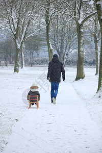 父亲和儿子带着雪橇在中行走图片