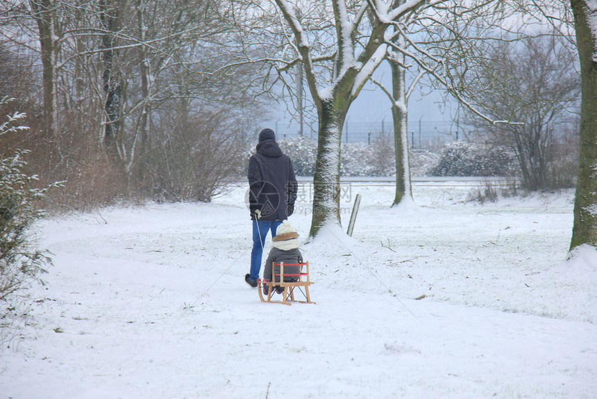 父亲和儿子带着雪橇在中行走图片