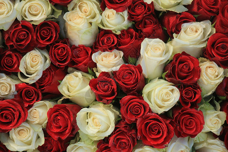 红玫瑰和白花岗的结婚装饰品图片