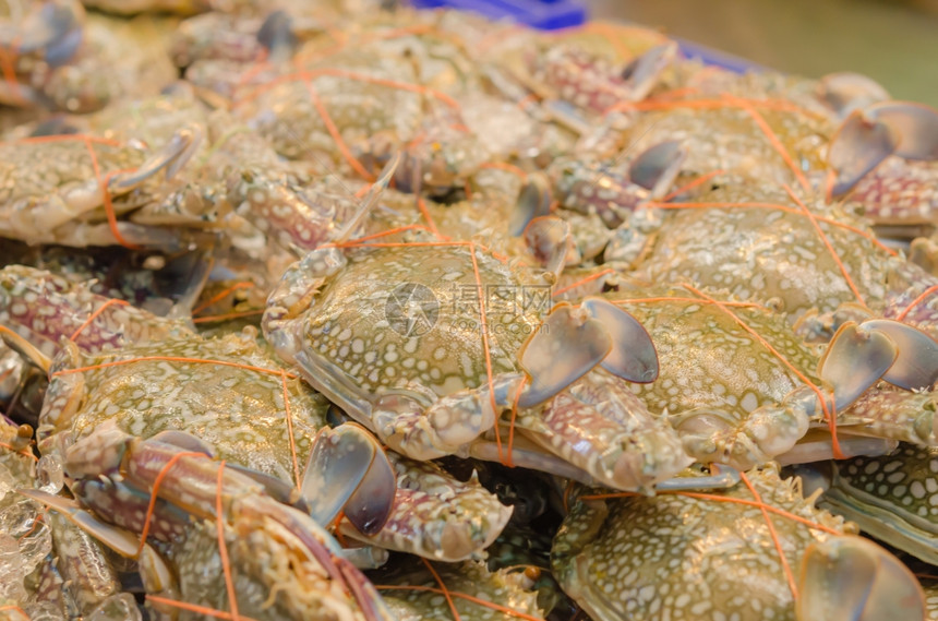鲜花蟹或海市场上的蓝蟹图片