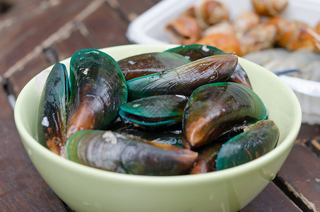 绿唇贻贝烤熟的绿贝壳在碗里绿色的贝背景
