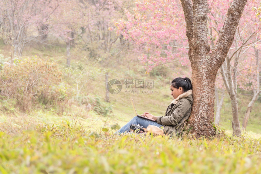 亚裔女孩在树下使用笔记本电脑亚裔女孩在樱花树下使用笔记本电脑图片