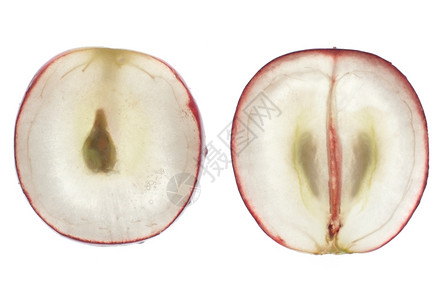 红色葡萄水果的半透明片大型的白葡萄水果被隔离在白色上图片