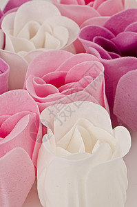 粉色紫和白美丽的豪华肥皂玫瑰背景背景图片