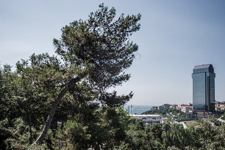 土耳其伊斯坦布尔Macka公园的景象背景图片