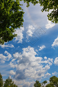 美丽的天空和光环效应在树枝的边框背景云高清图片素材
