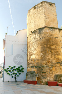 科尔多瓦旧的狭窄城市街道西班牙传统街道白色墙上的花盆安达卢西亚图片