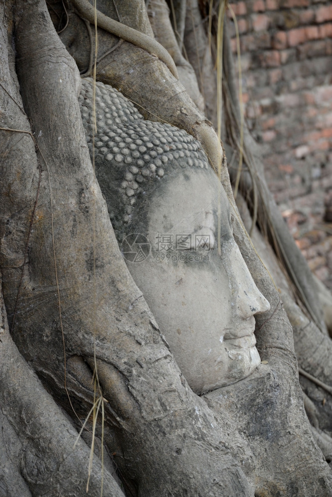 泰国东南亚曼谷北部阿尤塔亚市的WatMahatha寺的佛祖领袖图片