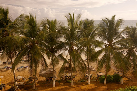 委内瑞拉西海玛格丽塔岛Cuacuco镇海滩的岸图片