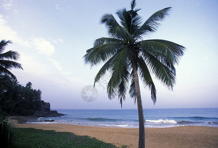 位于斯里兰卡西海岸的希卡杜瓦海滩斯里兰卡希卡杜瓦海滩背景图片