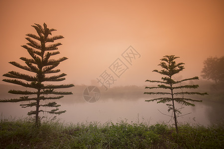 泰国北部清莱省晨雾的风景图片